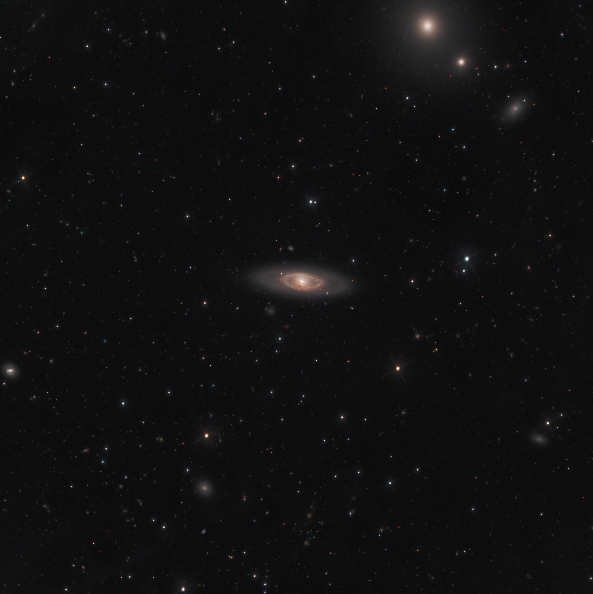 NGC 4274 Galaxy in Coma Berenices Astrophotography Martin Rusterholz