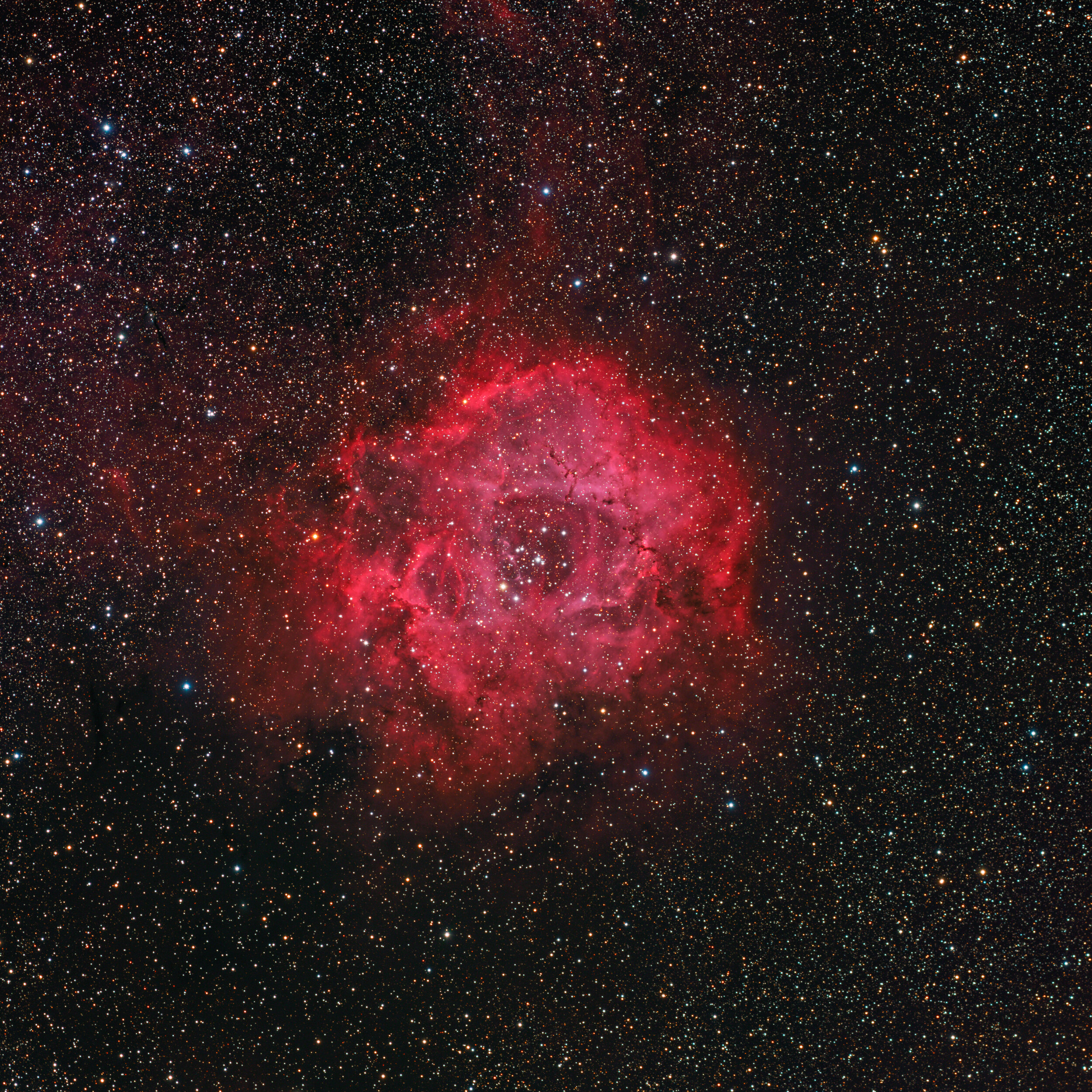 rosette nebula location