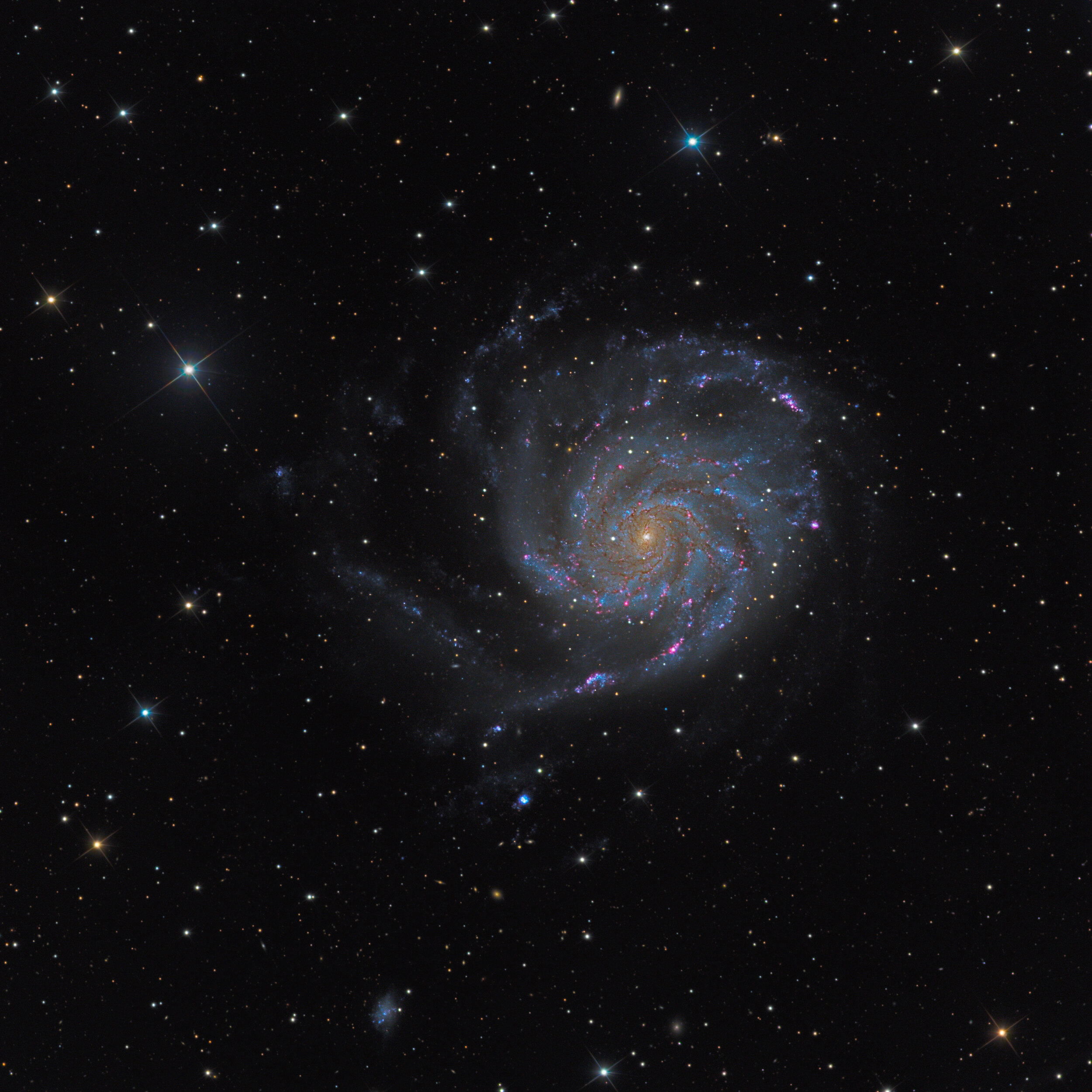 M101 Pinwheel Galaxy Astrophotography Martin Rusterholz