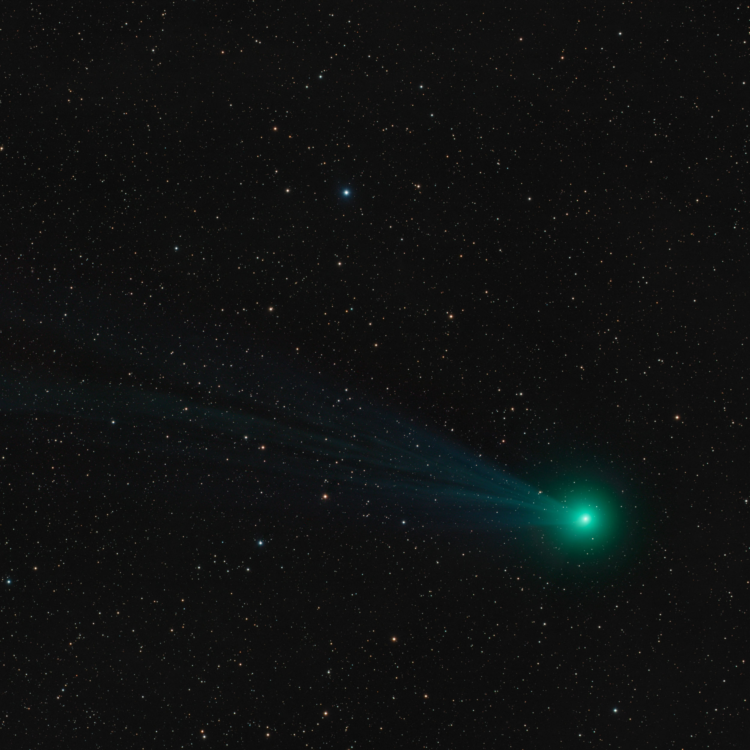 C2014 Q2 Lovejoy Comet Astrophotography Martin Rusterholz