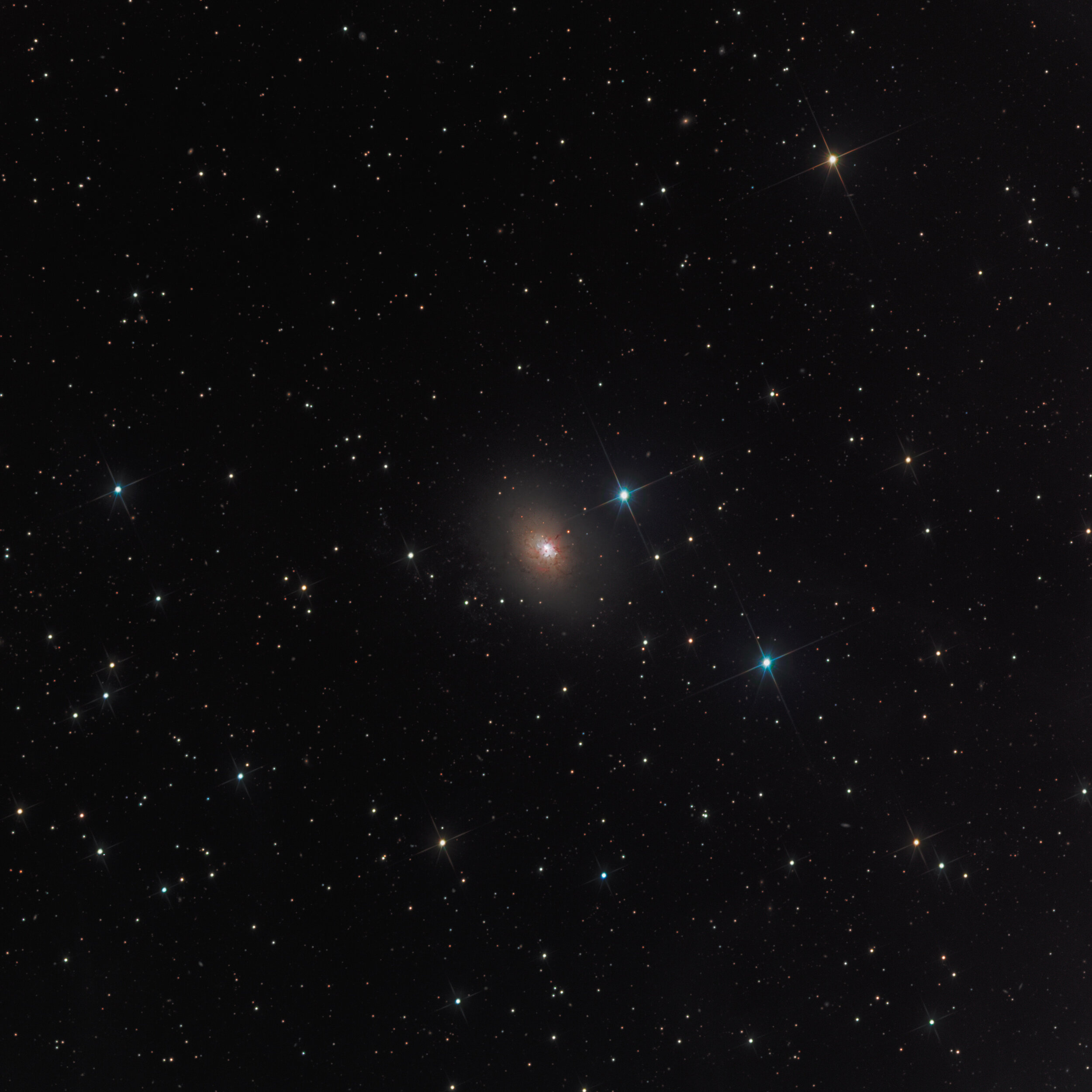 NGC 3077 in Ursa Major Astrophotography Martin Rusterholz
