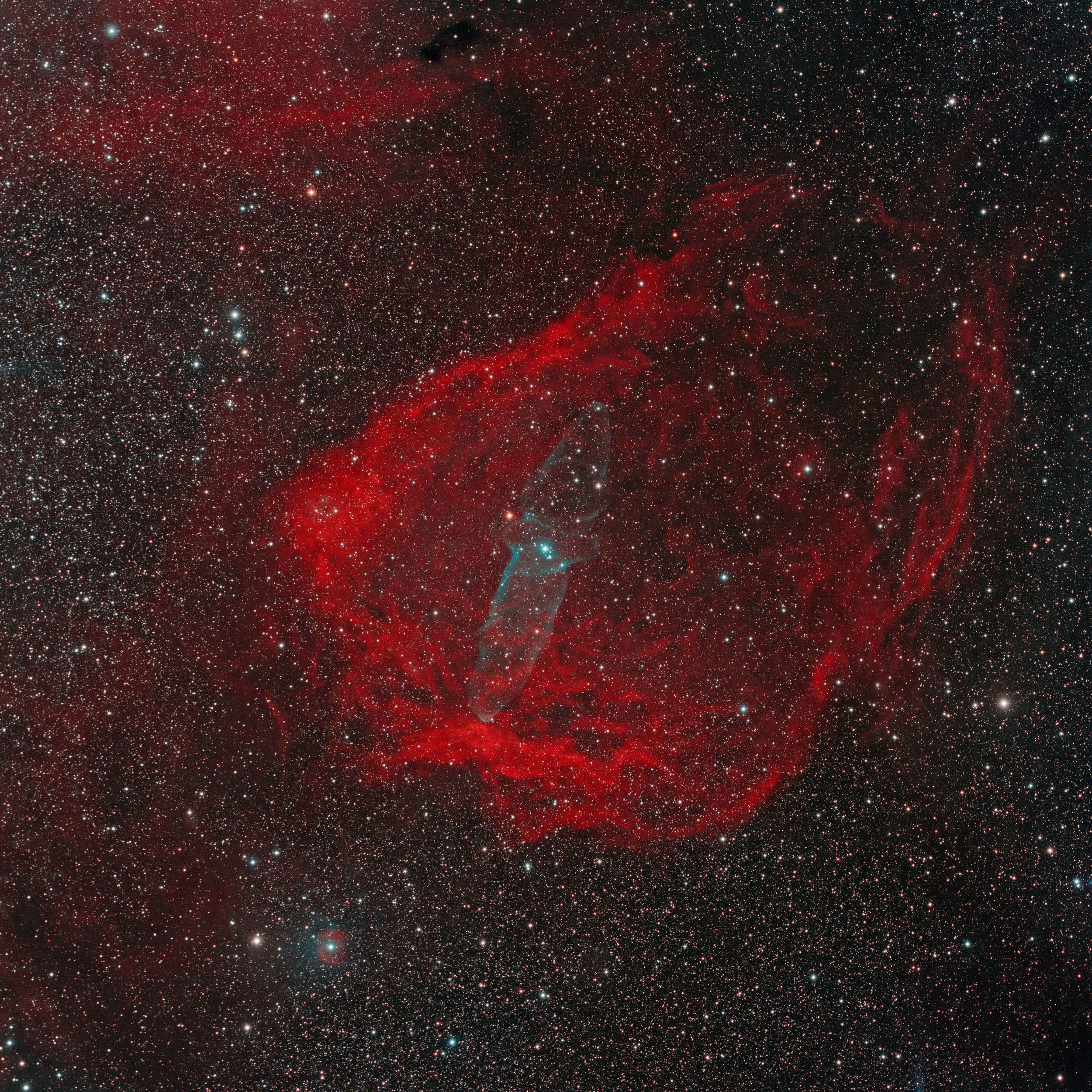 Sh2-129 Squid Nebula Astrophotography Martin Rusterholz