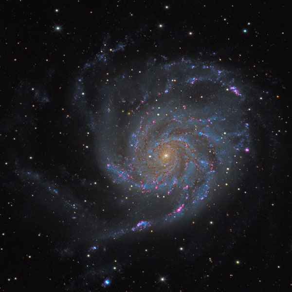 M101 Galaxy in Ursa Major Astrophotography Martin Rusterholz