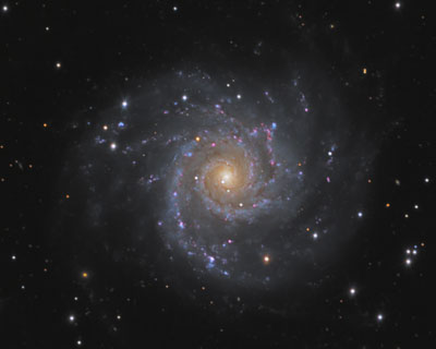 Phantom Galaxy (M74)