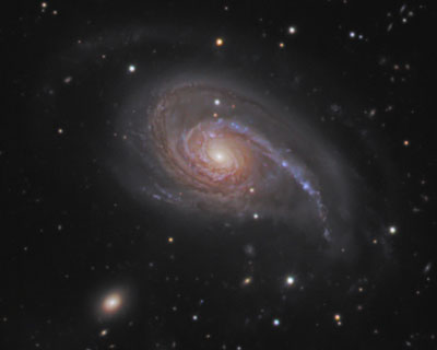 Fiddle­head Galaxy (NGC 772)