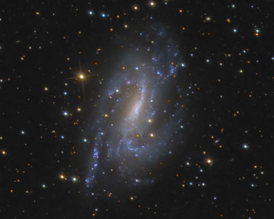 NGC 925