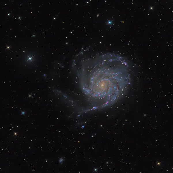 Cxielo Astrophotography Martin Rusterholz - Bild der Pinwheel-Galaxie (M101), einer spiralförmigen Galaxie mit ausgeprägten Armen und leuchtenden Sternhaufen.